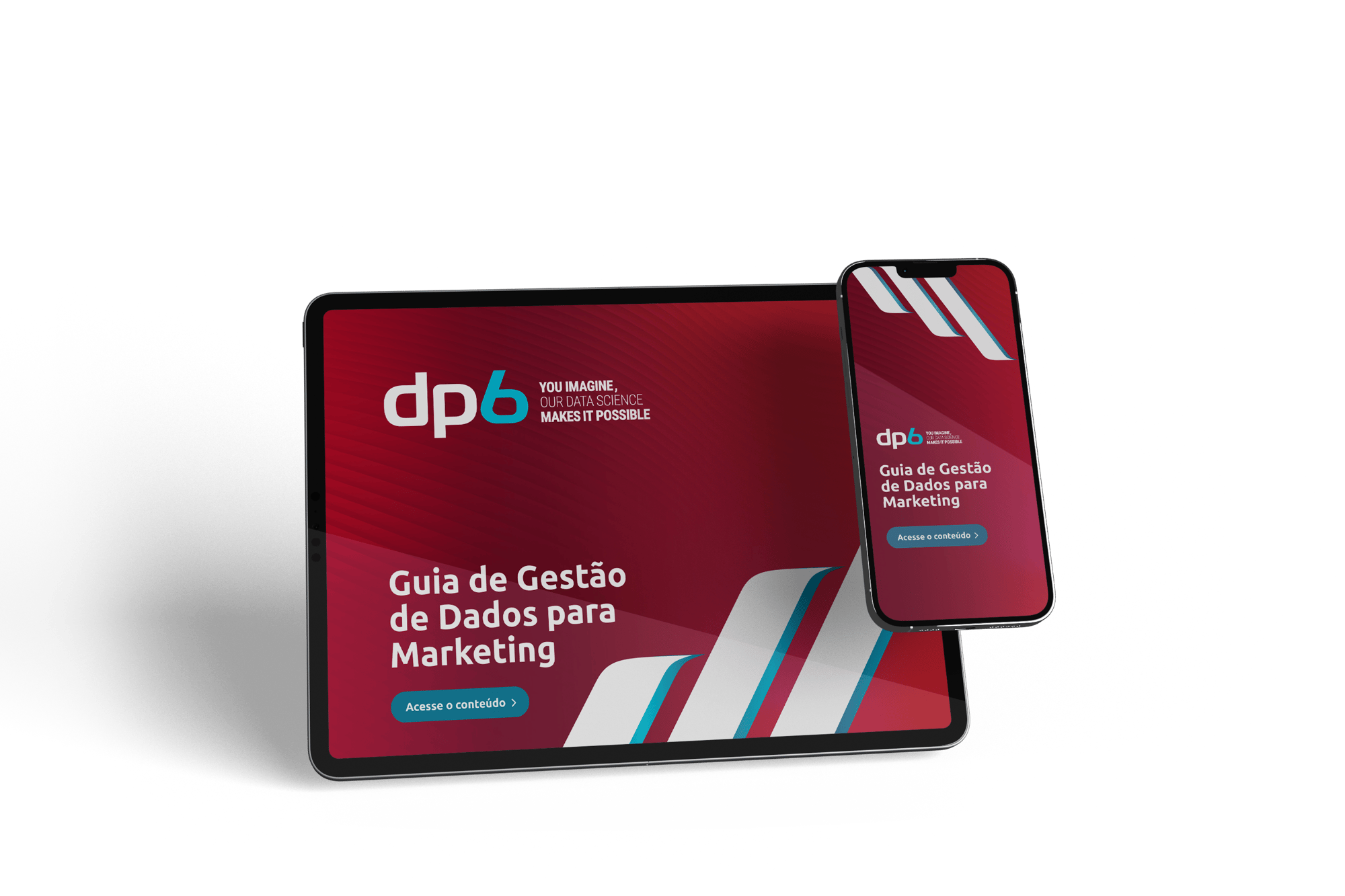 Guia de Gestão de Dados para Marketing Guia de Gestão de Dados para Marketing
